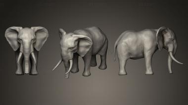 3D model African Elephant (STL)